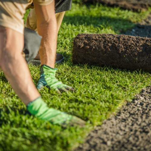 turf installation