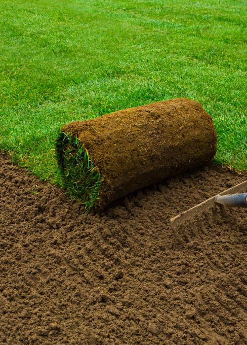 turf installation